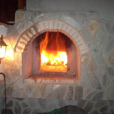 Tzvetelina Palace Hotel Dolna Banya Εξωτερικό φωτογραφία