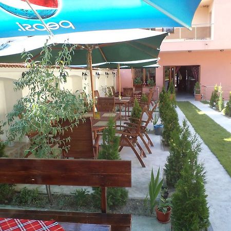 Tzvetelina Palace Hotel Dolna Banya Εξωτερικό φωτογραφία