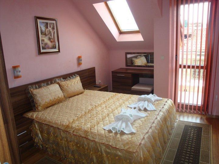 Tzvetelina Palace Hotel Dolna Banya Δωμάτιο φωτογραφία