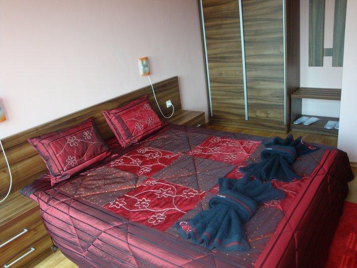 Tzvetelina Palace Hotel Dolna Banya Δωμάτιο φωτογραφία