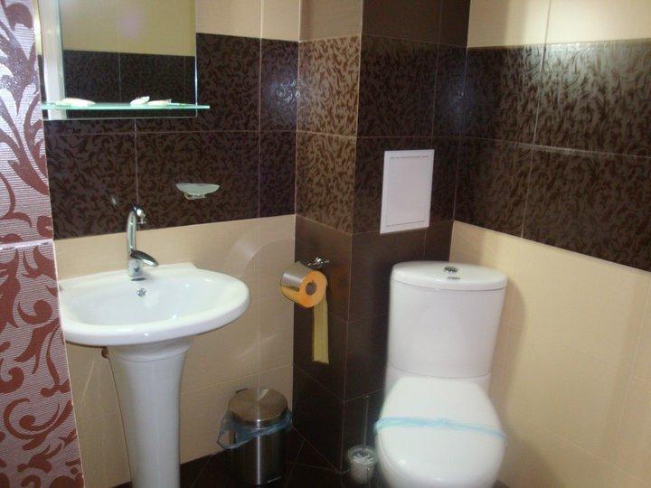 Tzvetelina Palace Hotel Dolna Banya Εξωτερικό φωτογραφία