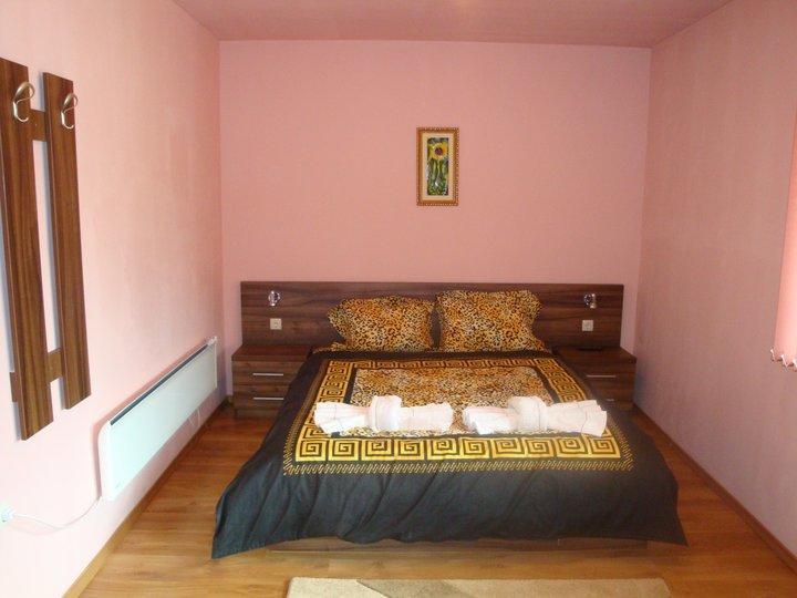 Tzvetelina Palace Hotel Dolna Banya Δωμάτιο φωτογραφία