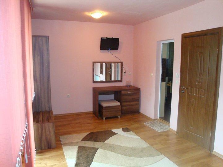 Tzvetelina Palace Hotel Dolna Banya Εξωτερικό φωτογραφία