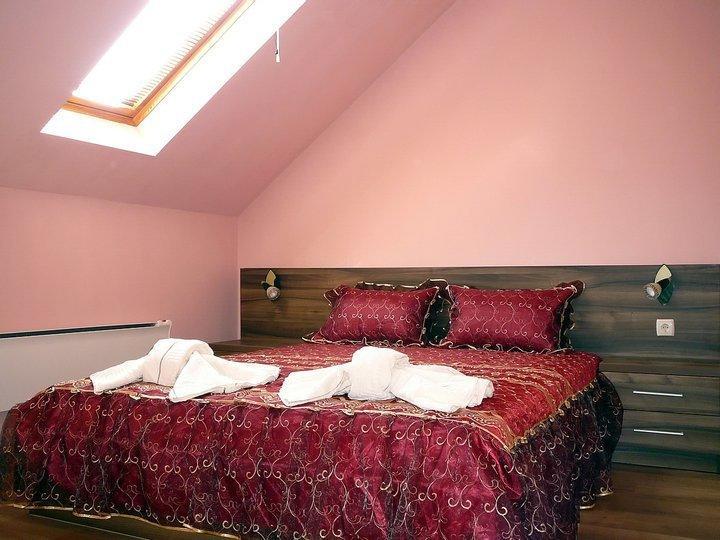 Tzvetelina Palace Hotel Dolna Banya Δωμάτιο φωτογραφία