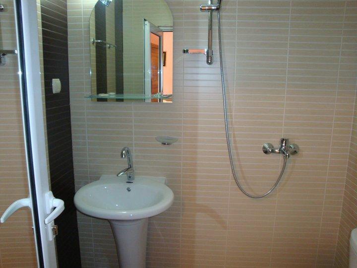 Tzvetelina Palace Hotel Dolna Banya Εξωτερικό φωτογραφία