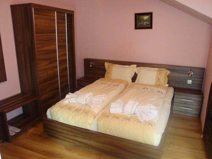 Tzvetelina Palace Hotel Dolna Banya Δωμάτιο φωτογραφία