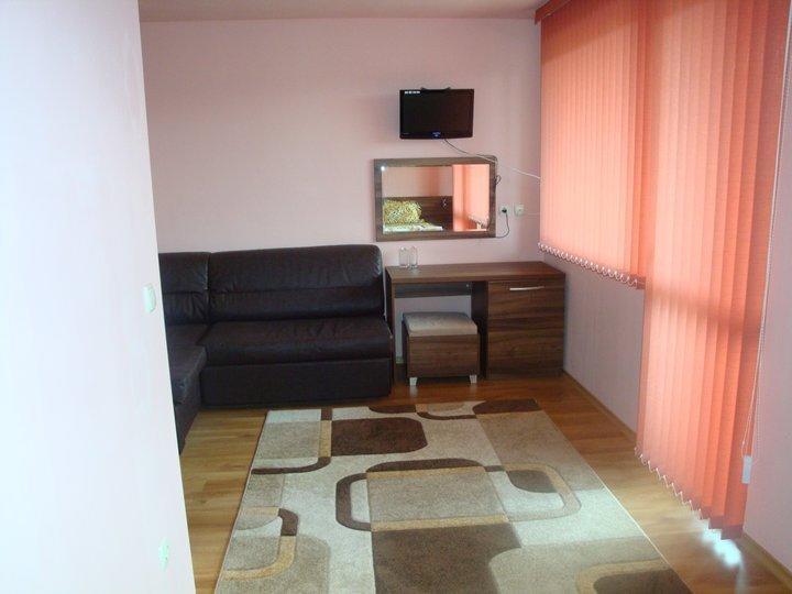 Tzvetelina Palace Hotel Dolna Banya Δωμάτιο φωτογραφία