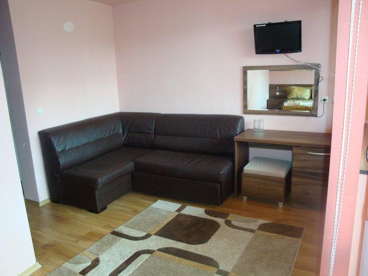 Tzvetelina Palace Hotel Dolna Banya Εξωτερικό φωτογραφία