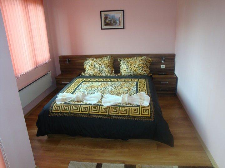 Tzvetelina Palace Hotel Dolna Banya Εξωτερικό φωτογραφία