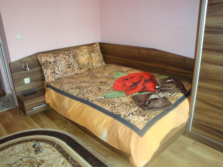 Tzvetelina Palace Hotel Dolna Banya Δωμάτιο φωτογραφία