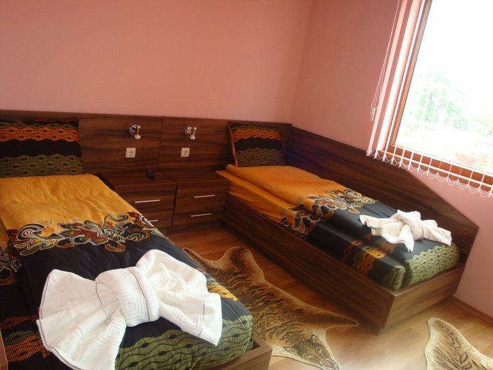 Tzvetelina Palace Hotel Dolna Banya Δωμάτιο φωτογραφία