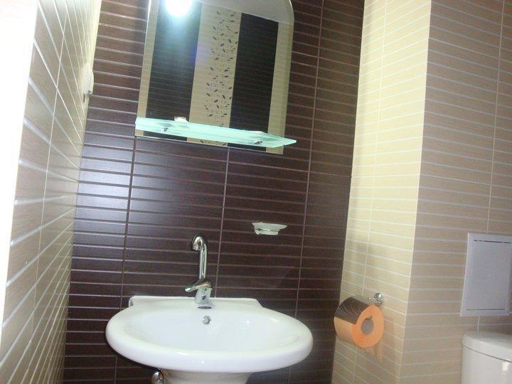 Tzvetelina Palace Hotel Dolna Banya Εξωτερικό φωτογραφία
