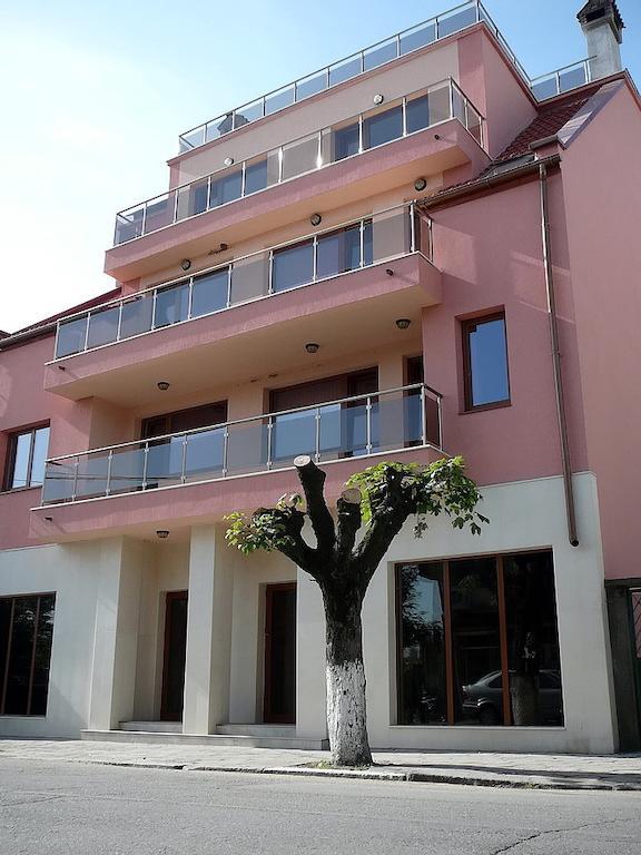 Tzvetelina Palace Hotel Dolna Banya Εξωτερικό φωτογραφία