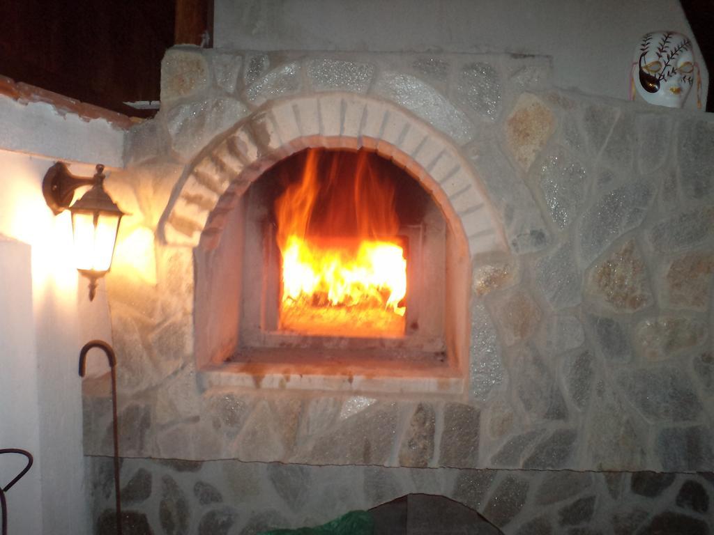 Tzvetelina Palace Hotel Dolna Banya Εξωτερικό φωτογραφία
