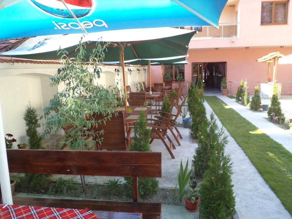 Tzvetelina Palace Hotel Dolna Banya Εξωτερικό φωτογραφία